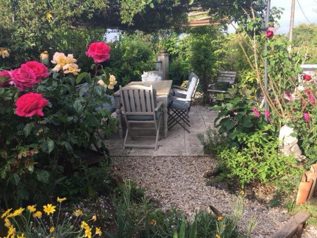 Chez Brown Bed & Breakfast Saint-Thomas-de-Cônac Екстериор снимка
