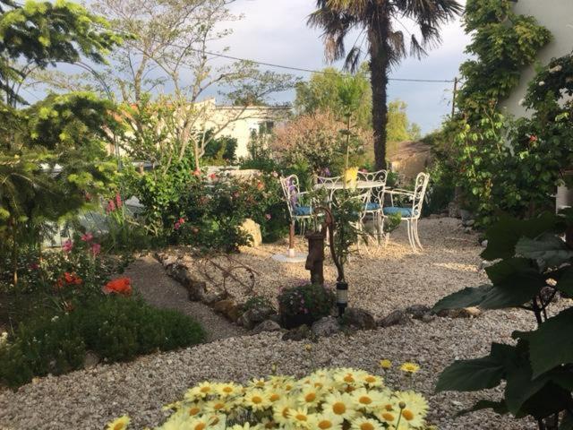 Chez Brown Bed & Breakfast Saint-Thomas-de-Cônac Екстериор снимка