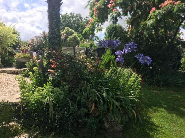 Chez Brown Bed & Breakfast Saint-Thomas-de-Cônac Екстериор снимка