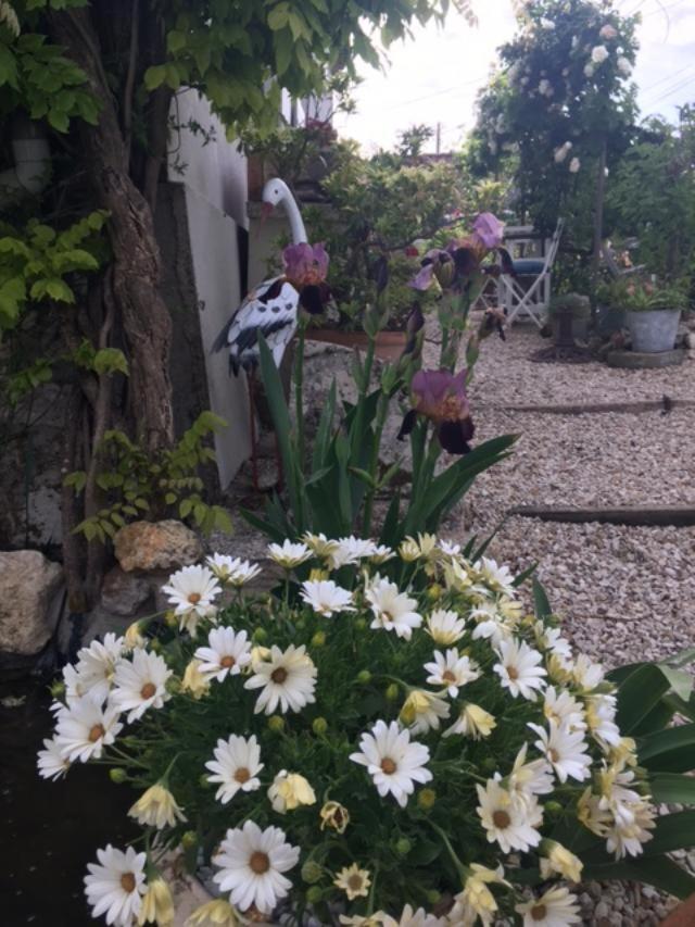 Chez Brown Bed & Breakfast Saint-Thomas-de-Cônac Екстериор снимка