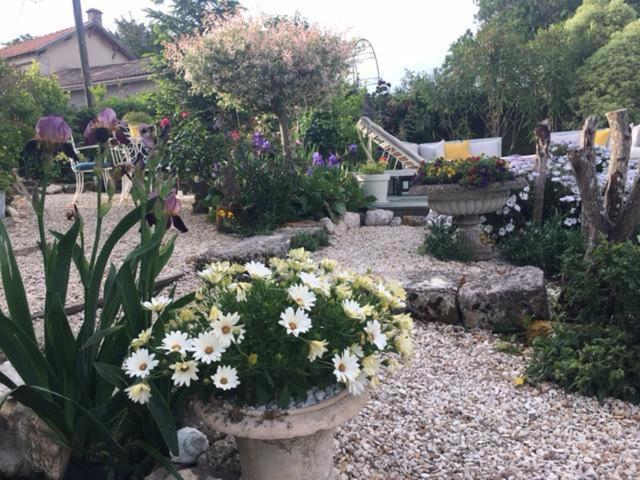 Chez Brown Bed & Breakfast Saint-Thomas-de-Cônac Екстериор снимка