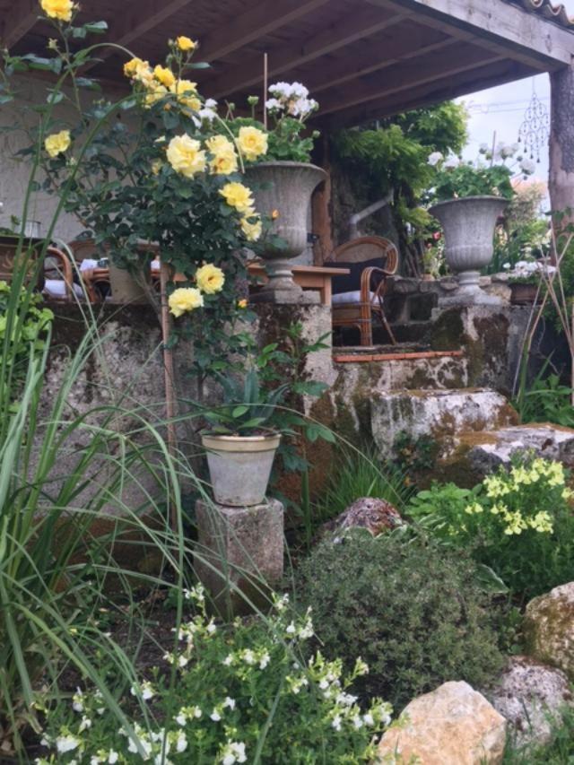 Chez Brown Bed & Breakfast Saint-Thomas-de-Cônac Екстериор снимка